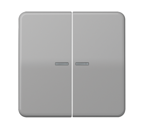 Клавиши для сдвоенных выключателей с подсветкой; серые  CD595KO5GR  Jung