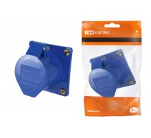 Розетка 423 скрытая 2Р+РЕ 32А 220В IP44   SQ0604-0014  TDM