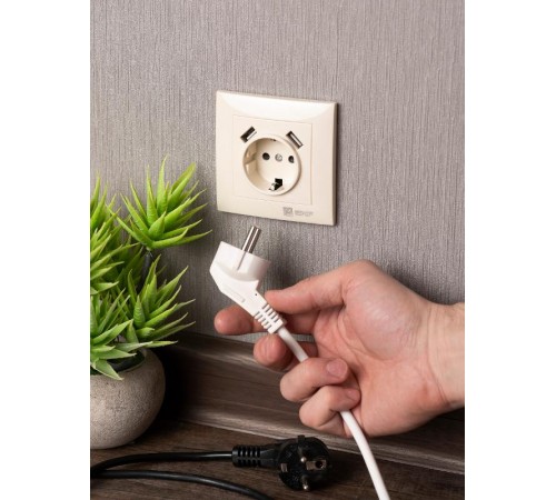 Валенсия розетка 1-местная с/з 16А кремовая с защ. штор. с 2 USB 2,1А EKF PROxima   EWR16-028-20-2USB   EKF