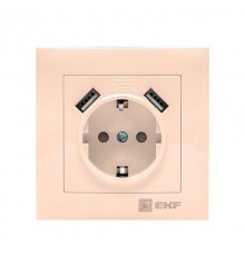 Валенсия розетка 1-местная с/з 16А кремовая с защ. штор. с 2 USB 2,1А EKF PROxima   EWR16-028-20-2USB   EKF
