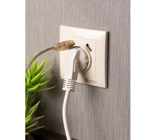 Валенсия розетка 1-местная с/з 16А кремовая с защ. штор. с 2 USB 2,1А EKF PROxima   EWR16-028-20-2USB   EKF