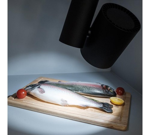 Светильник LGD-SHOP-4TR-R100-40W Cool SP7500-Fish (BK, 24 deg)  026291  Arlight