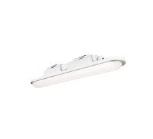 Светильник светодиодный ДСП51-20-005 Leader Standart 840 19Вт 4000К IP67 опал  1168420005.1  АСТЗ