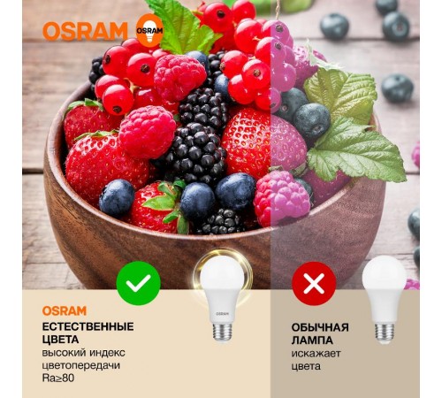 Лампа светодиодная LED Value CL- A 15W/830 230V E27 10X1  4058075579095  OSRAM