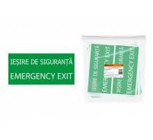 Знак "ЗАПАСНЫЙ ВЫХОД" 200х100мм (румынский язык)  SQ0817-0076  TDM