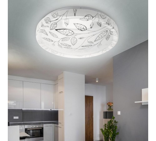 Светильник потолочный светодиодный Классик без ДУ SPB-6-12-6,5K Syuzi 12Вт 6500K  Б0054072  ЭРА