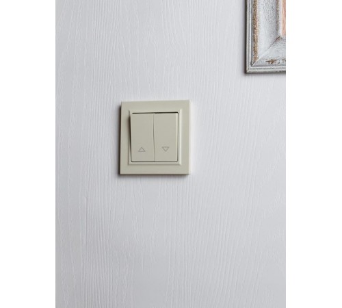 BRITE Выключатель жалюзи 10А ВС10-1-5-БрКр бежевый   BR-V15-0-10-K10  IEK