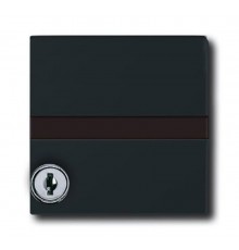 Плата промежуточная с крышкой для центр. плат , с индивидуальным зам., IP44, серия Allwetter 44, цвет антрацит  1710-0-1985   2CKA001710A1985  ABB