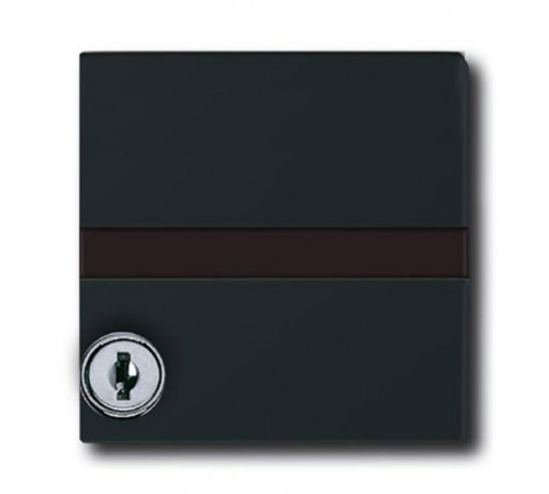 Плата промежуточная с крышкой для центр. плат , с индивидуальным зам., IP44, серия Allwetter 44, цвет антрацит  1710-0-1985   2CKA001710A1985  ABB