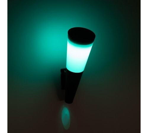 Фасадная подсветка Факел на солнечной батарее ERAFS012-09 1 LED, 7*21 см  Б0057596  ЭРА