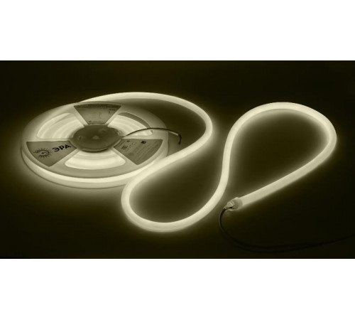 Лента светодиодная термостойкая для бани  LS2835-9,6-120-24-3000K-IP68-3 year-5m (теплый бел.)   Б0062320  ЭРА