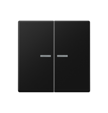 Клавиша для KNX кнопки, 2 группы, с окошком; термопласт; черный матовый  A102KO5BFSWM  Jung