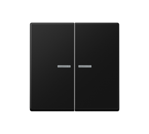 Клавиша для KNX кнопки, 2 группы, с окошком; термопласт; черный матовый  A102KO5BFSWM  Jung