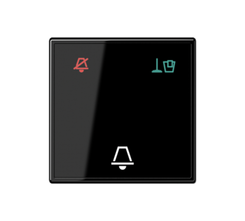Накладка (стекло) для внешнего модуля  ACUKO6MSW  Jung