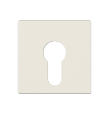 Крышка для выключателя с замком; слоновая кость  A525PL  Jung