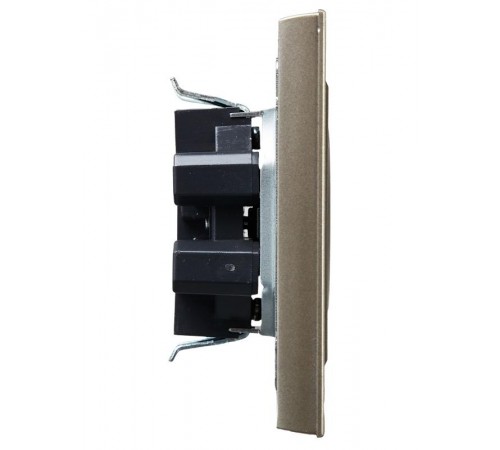 BRITE Розетка 2-ая без заземления со шторками 10А в сборе РСш12-2-БрШ шампань  BR-R23-10-K37-F  IEK