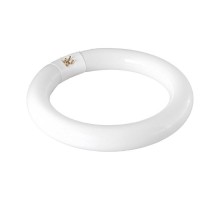 Лампа кольцевая люминесцентная, 22 Вт  31-0801  REXANT