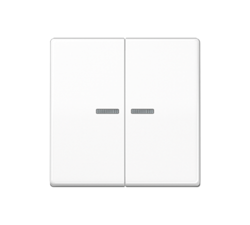 Клавиша для KNX кнопки, 2 группы с окошком; дюропласт; белый  AS102KO5WW  Jung