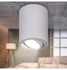 Светильник настенно-потолочный спот OL34 WH MR16 GU10, белый  Б0056382  ЭРА