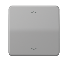 Клавиша для одинарной кнопки BCU; серая CD590PGR Jung