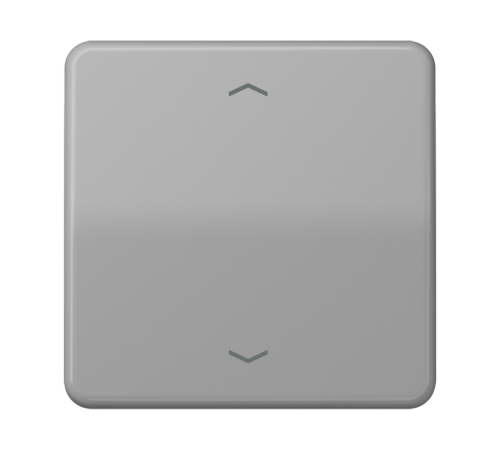 Клавиша для одинарной кнопки BCU; серая CD590PGR Jung