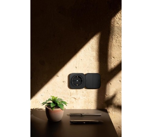 Quteo Чёрный Переключатель 2-клавишный 10A винтовые зажимы  782479  Legrand