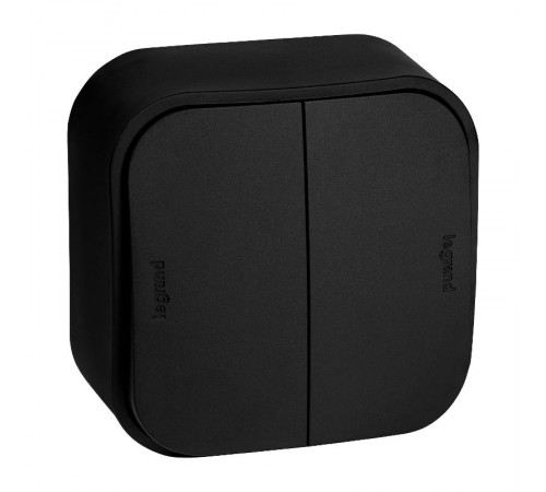 Quteo Чёрный Переключатель 2-клавишный 10A винтовые зажимы  782479  Legrand