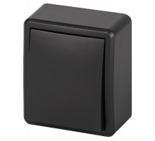 Выключатель ЭРА Эксперт 11-1201-05 10АХ-250В IP20 ОУ Антрацит  Б0062989  ЭРА