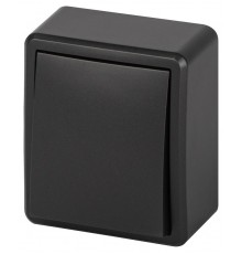 Выключатель ЭРА Эксперт 11-1201-05 10АХ-250В IP20 ОУ Антрацит  Б0062989  ЭРА