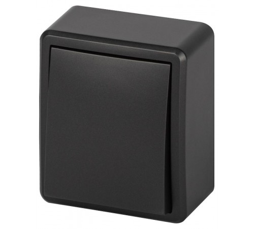 Выключатель ЭРА Эксперт 11-1201-05 10АХ-250В IP20 ОУ Антрацит  Б0062989  ЭРА