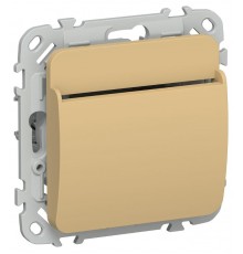 FLITE Выключатель карточный 30А ВК-0-ФлШм шамуа  FI-V11-0-10-K89  IEK