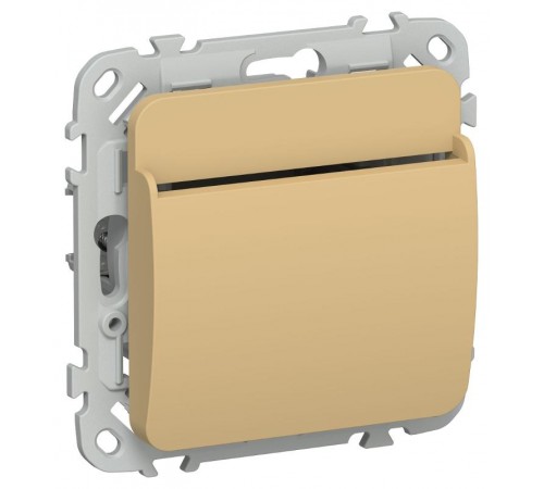 FLITE Выключатель карточный 30А ВК-0-ФлШм шамуа  FI-V11-0-10-K89  IEK