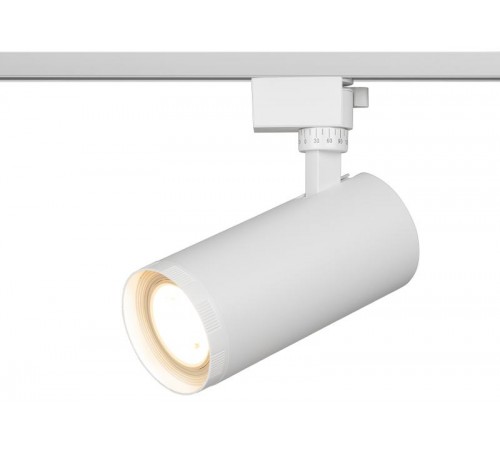 Светильник светодиодный трековый однофазный TR59 - 3030 WH светодиодный 30Вт 3000К белый  Б0054445  ЭРА