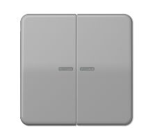 Клавиша для KNX кнопки, 2 группы с окошком; дюропласт; серый  CD102KO5GR  Jung