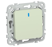 FLITE Выключатель 1-клавишный кнопочный с индикацией 10А ВС11-2-1-ФлП панг  FI-V14-1-10-1-K92  IEK