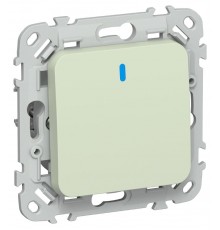 FLITE Выключатель 1-клавишный кнопочный с индикацией 10А ВС11-2-1-ФлП панг  FI-V14-1-10-1-K92  IEK