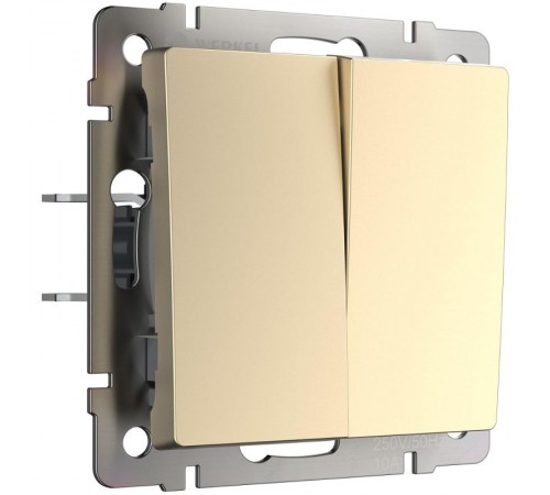 W1120011/Электроустановочные изделия - Выключатель двухклавишный (шампань)  a050857  Werkel
