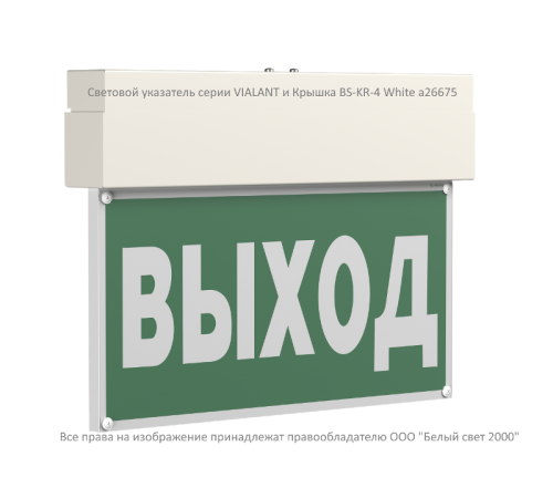 Световой указатель аварийного освещения BS-VIALANT-51-S1-INEXI3  a15627  Белый свет