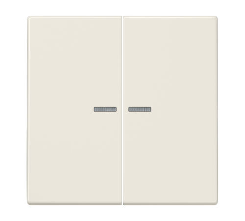 Двойная клавиша с окошками для балансирных механизмов выключателей (кнопок), в комплекте с CD95HP (крепежный элемент), возможно IP44; дюропласт; слоно