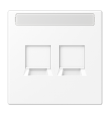 Плата (фиксация защёлкиванием) для двух модулей с полем для надписи; термопласт; белый матовый LS1969-2NAWEWWM Jung