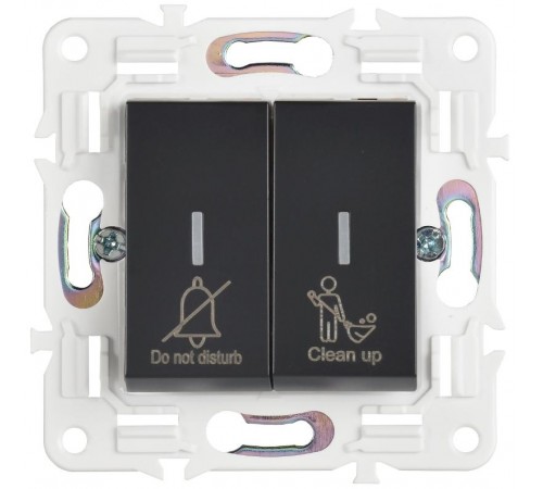 SKANDY Выключатель 2-клавишный с индикацией для отелей 10А SK-V16Bl черный   SK-V20-2-10-K02  IEK