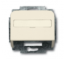 Плата центр. (корпус) с суппортом для комм. разъёмов и цоколей DCS, серия Busch-Duro 2000 SI, цвет сл. кость  1724-0-1002   2CKA001724A1002  ABB