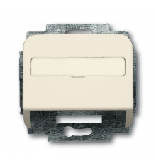 Плата центр. (корпус) с суппортом для комм. разъёмов и цоколей DCS, серия Busch-Duro 2000 SI, цвет сл. кость  1724-0-1002   2CKA001724A1002  ABB