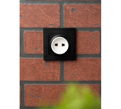 Адаптер-переходник б/з бел. 6А 250В EKF PROxima  AAP6-1  EKF