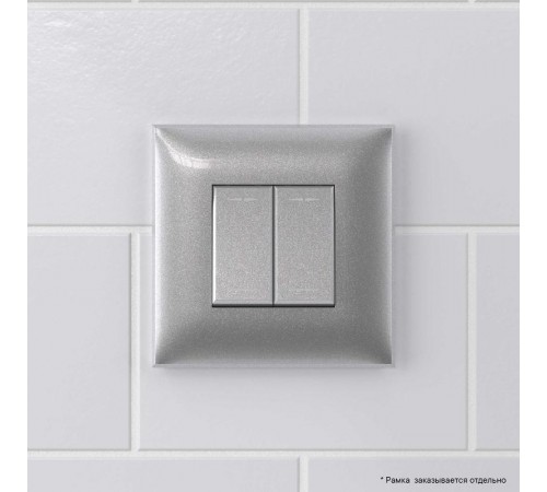 Инвертор двухклавишный в стену, "Avanti", "Закаленная сталь"  4404124  DKC