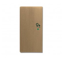 SRD-2-L-840 Клавиша двойная левая free@home, светорегулятор, Династия, латунь античная  6220-0-0380   2CKA006220A0380  ABB