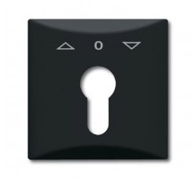 Плата центральная (накладка) с поворотной ручкой, IP44, серия Allwetter 44, цвет антрацит  1710-0-1894   2CKA001710A1894  ABB