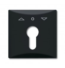 Плата центральная (накладка) с поворотной ручкой, IP44, серия Allwetter 44, цвет антрацит  1710-0-1894   2CKA001710A1894  ABB