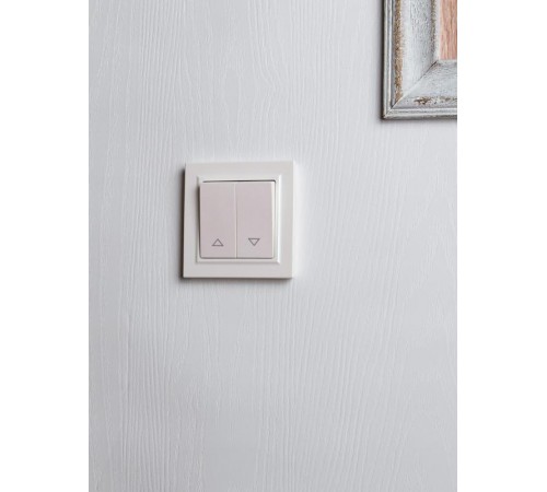 BRITE Выключатель жалюзи 10А ВС10-1-5-БрЖ жемчужный   BR-V15-0-10-K36  IEK