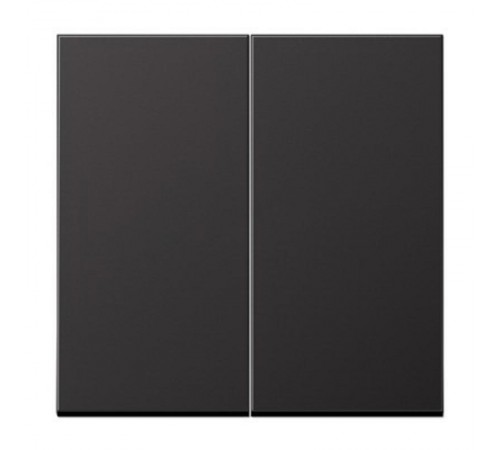 Клавиша для двойного выключателя; черный матовый  EP495SWM  Jung